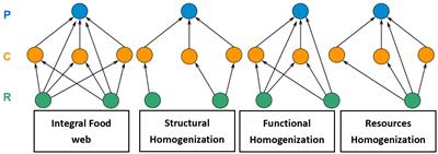 Identifying marine food web homogenization patterns